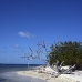 beach_jar_v_0722_cub2886.jpg